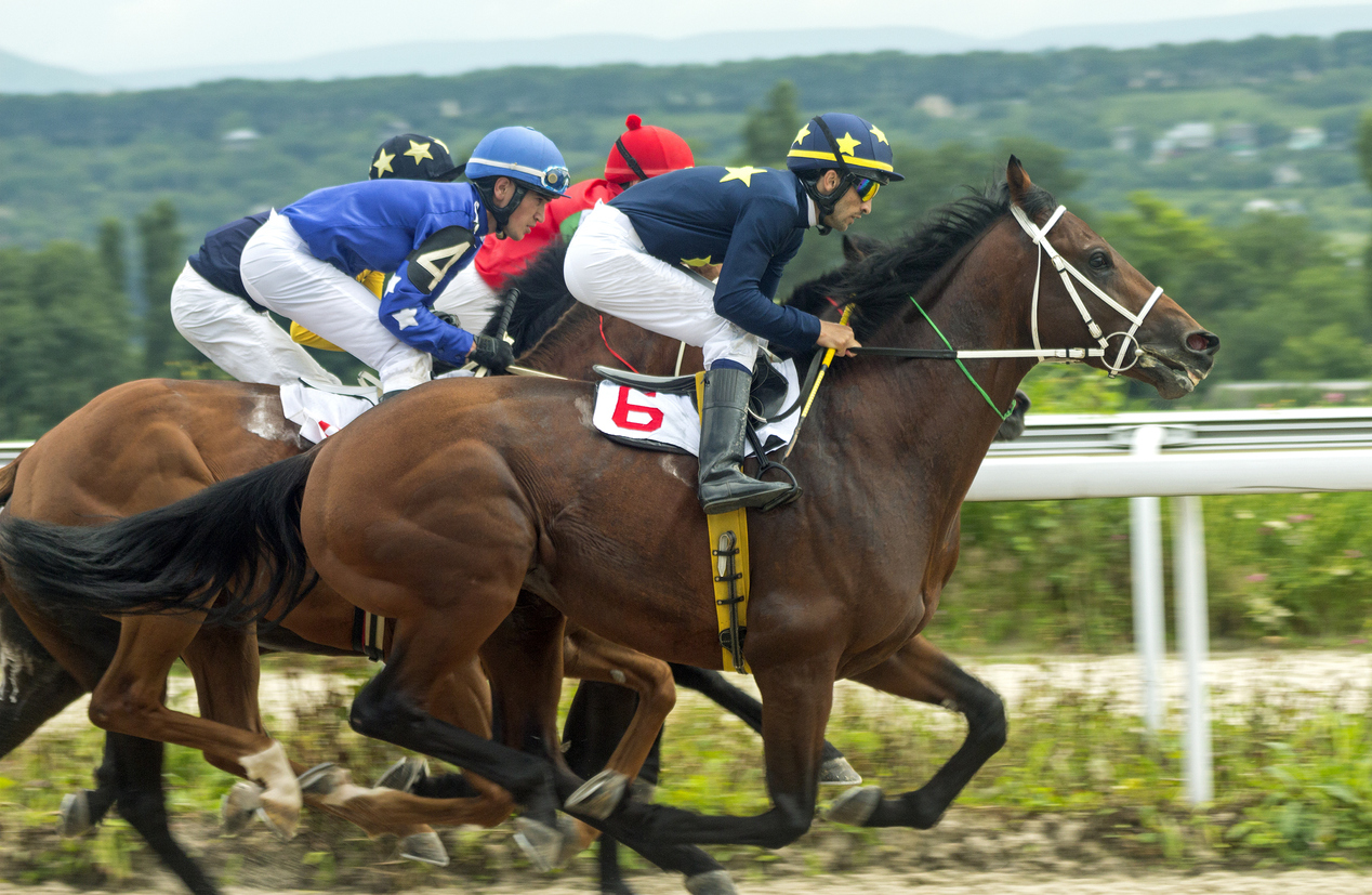 Betting Strategy For Horse Racing