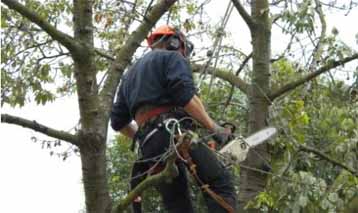 Chainsaw accident leaves man fighting for life