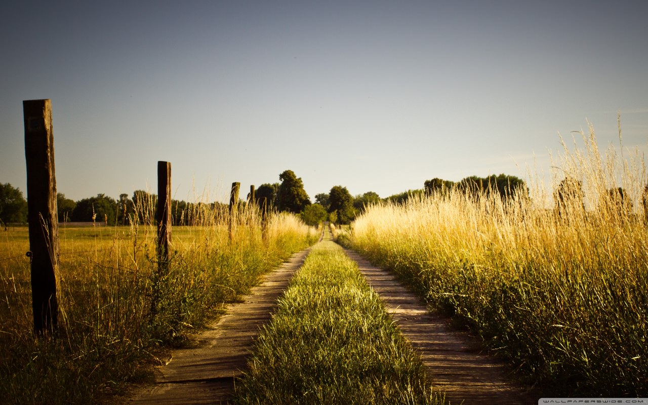 laoreet sed suscipit nec