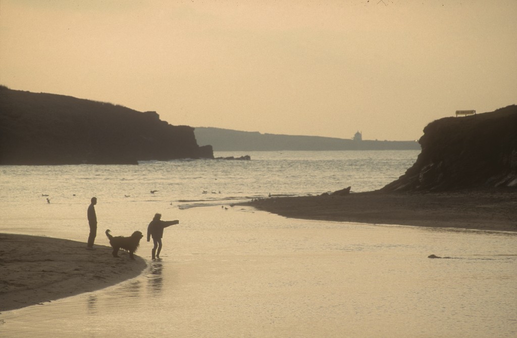elderly woman dog stuck in high tide