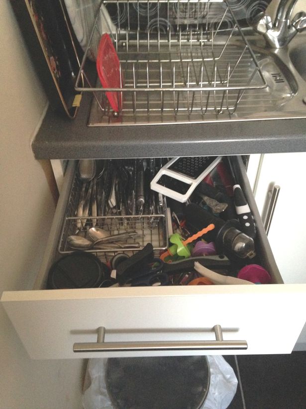 WOMAN FINDS ESCAPED SNAKE IN HER CUTLERY DRAWER