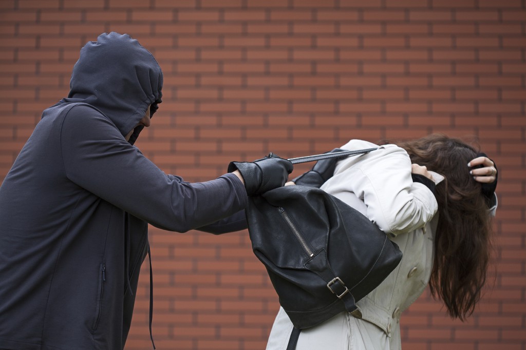 OFFICERS HUNT THIEF WHO STOLE A BAG AFTER POSING AS A GOOD SAMARITAN