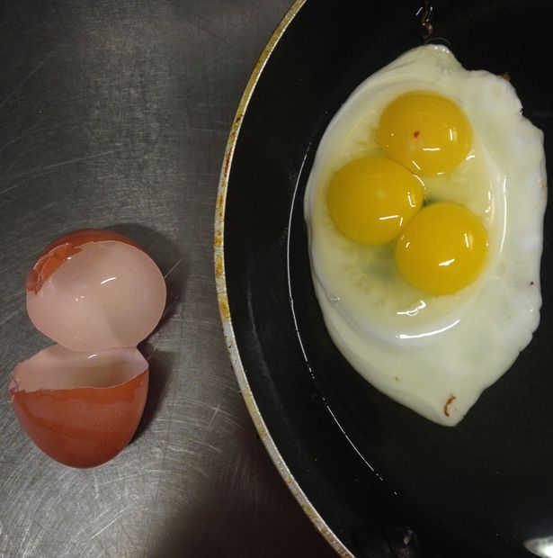 SISTERS CRACK OPEN EGGS FOR SUNDAY BRUNCH AND FIND TRIPLE YOLK