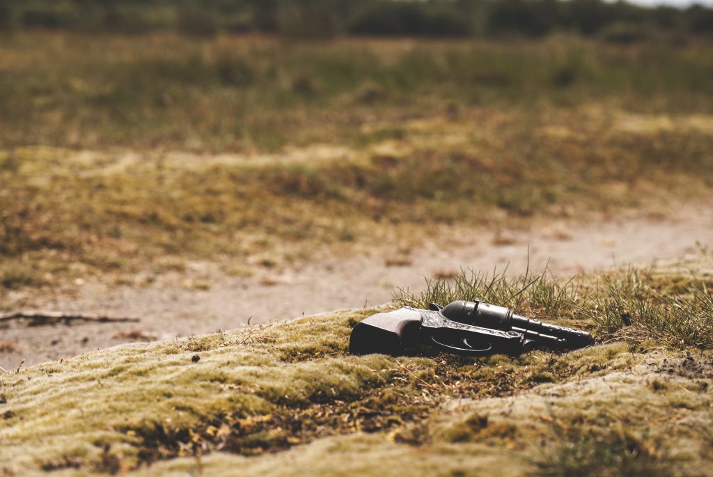 GUN-TOTING HUNTERS JOIN SEARCH FOR MISSING LYNX