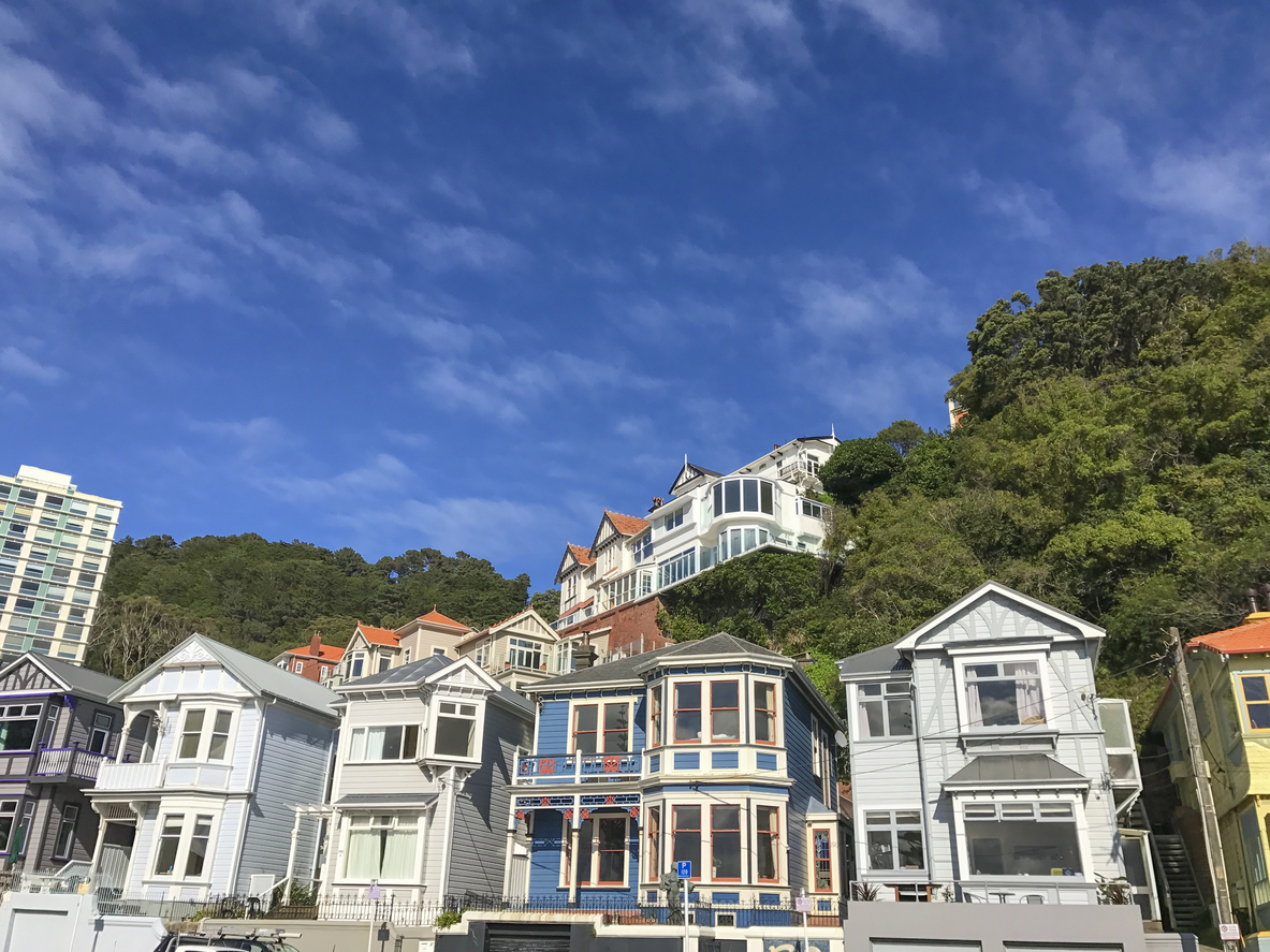New Zealand will make it difficult to buy unless you are resident