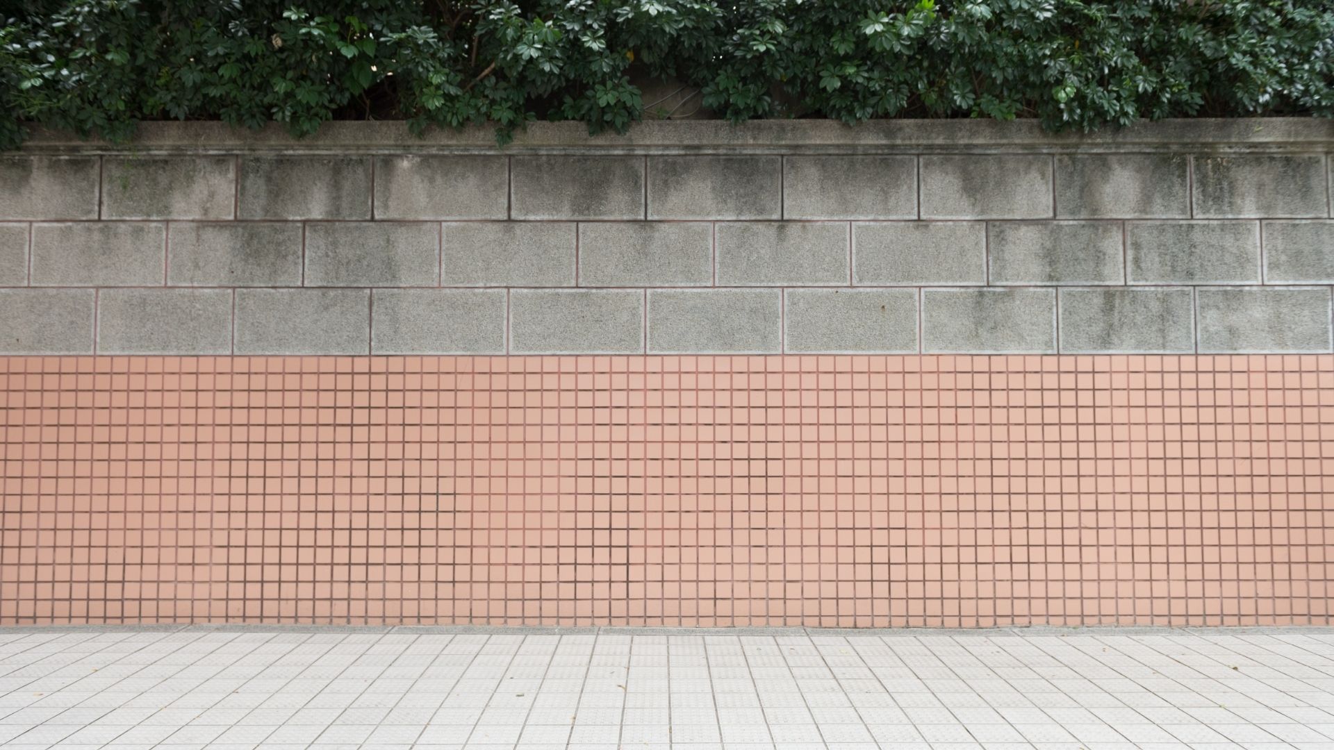 All you need to know about Party Wall Notice and Party Wall Disputes