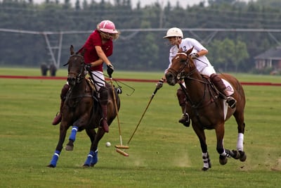 How US Polo Association Started Selling In the UK