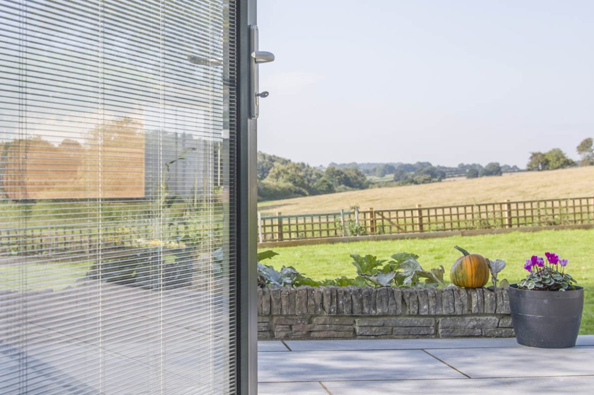 Why you Should buy Pellini ScreenLine Integral Blinds