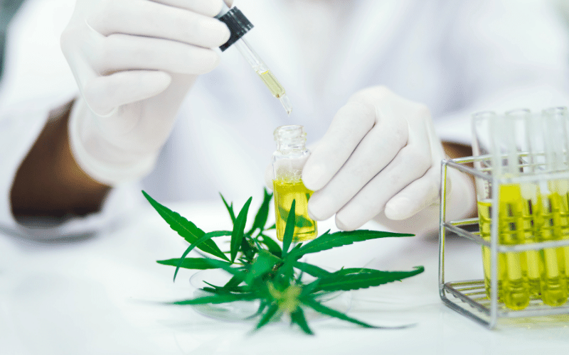 CBD products and cosmetics are legal in the UK and Europe