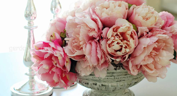 12 Popular Flowers for Your Bridal Bouquet