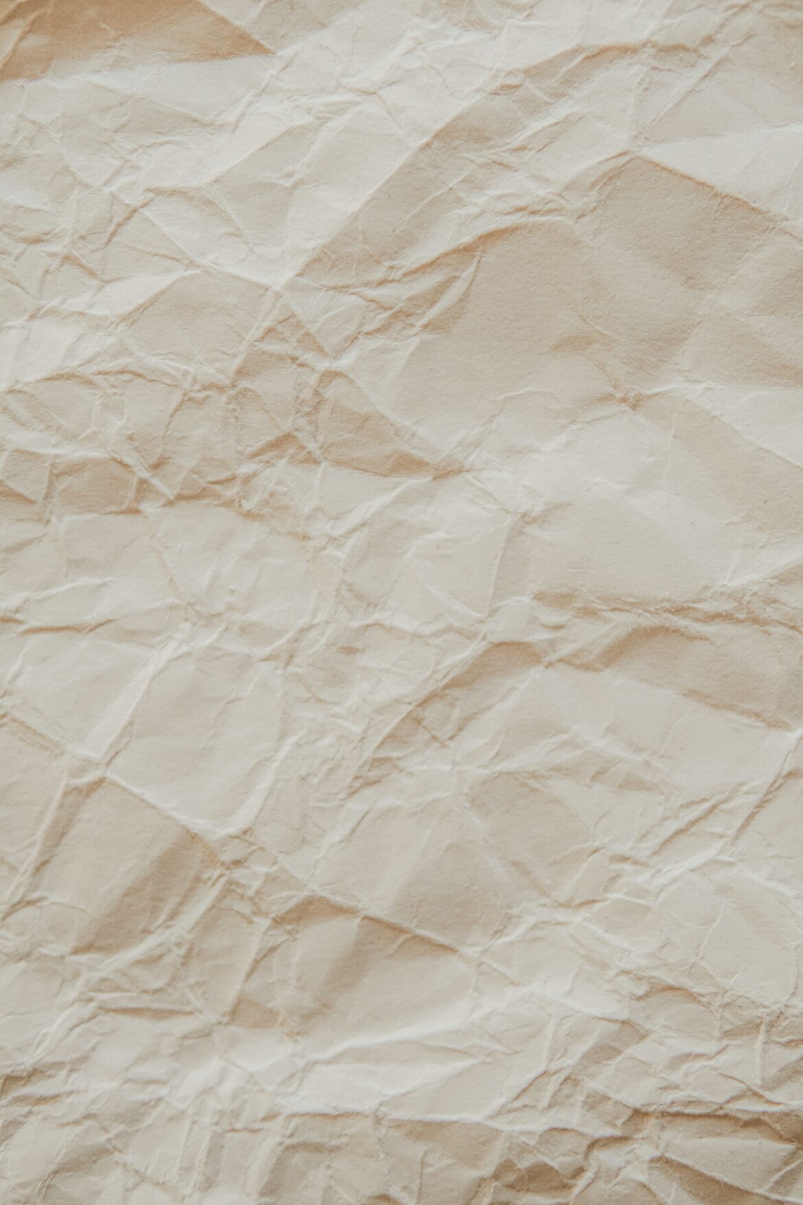 The Ultimate Guide to Shrink Wrap Packaging