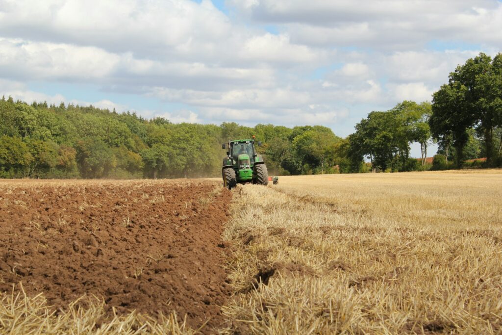 The Role of Wholecrop Cereal Forage in Sustainable Farming