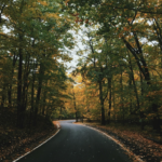 Autumn Equinox