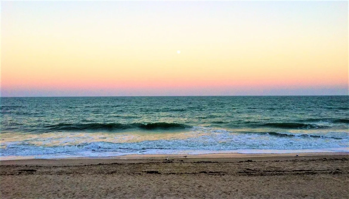 What Makes A Beachside Brand Feel So Memorable?