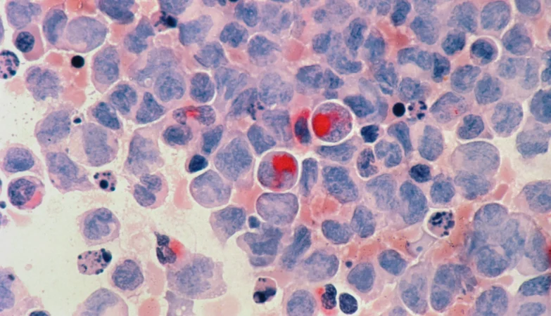 Cell Counting