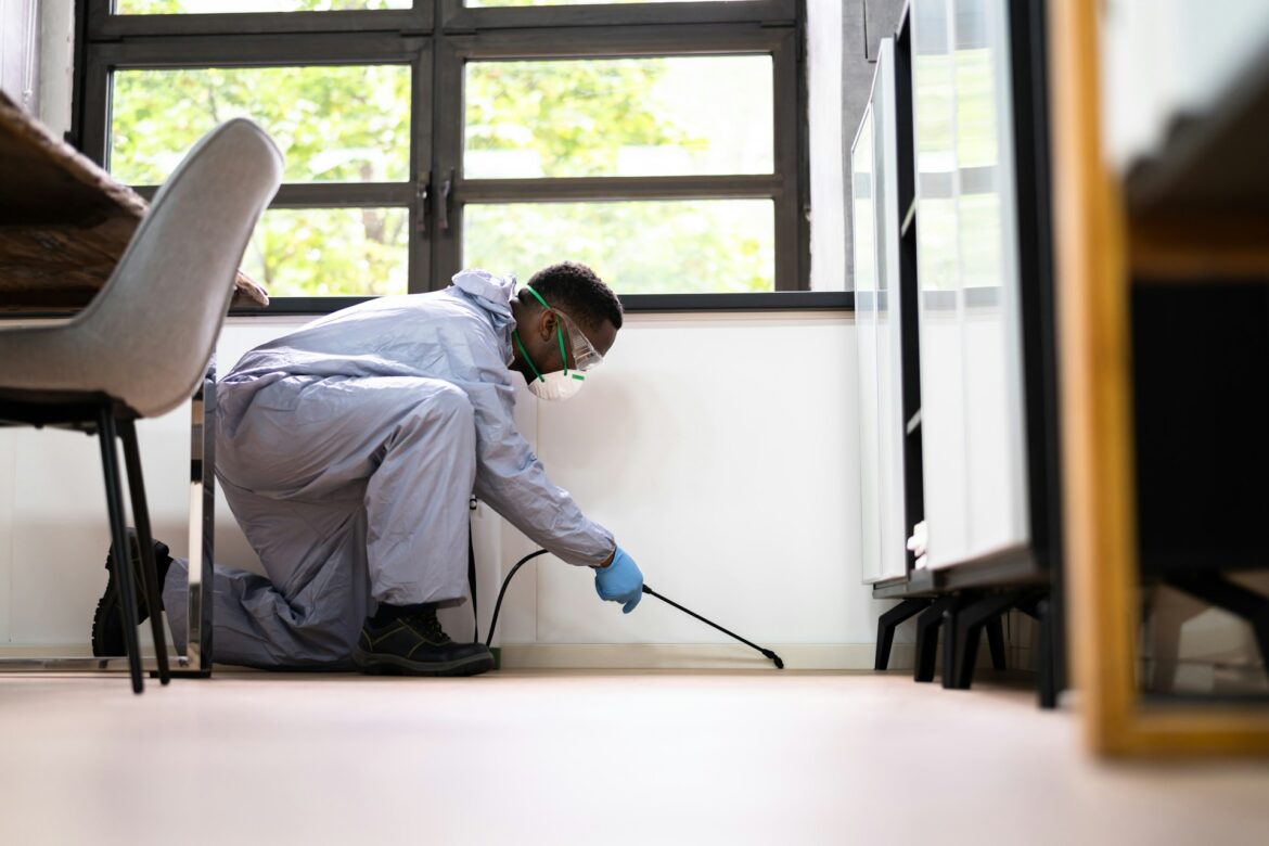 Pest Control Birmingham: Why Prevention Is Now the Priority