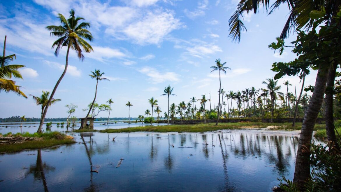 The New Kerala Wellness Break: Ayurveda, Local Food and Slower Travel