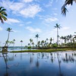 Kerala backwaters wellness retreat