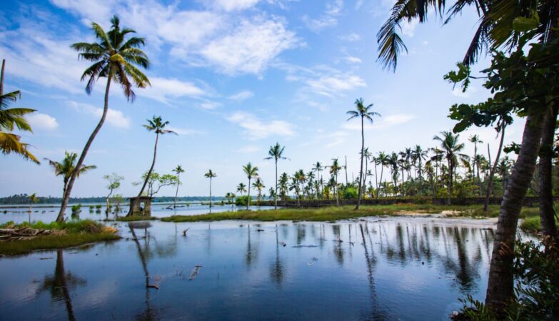 Kerala backwaters wellness retreat